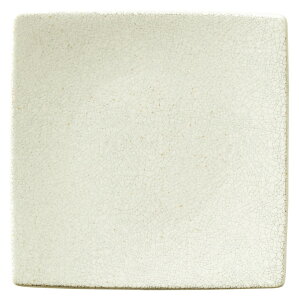 ƖpH ASKAE(Ђ͂)25cmpM ze Xg JtF aH