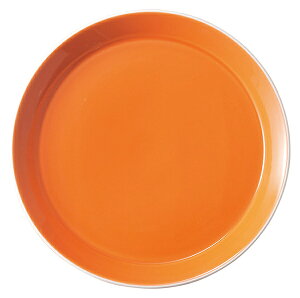 ƖpH pVIEIW 26cmv[g ze Xg JtF