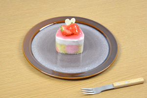 P[LM  21.5cmEhP[Lv[g AEgbg fU[gM t[cM ze JtF