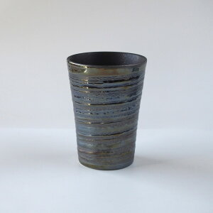 X^[ Q ^u[ 300cc rAJbv t[Jbv Jbv Rbv r[  X^[  LL ubN  F zCg  F ₷  IV 