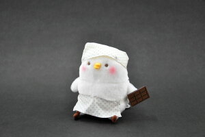 JiwC̏Gv@sXP [ʂ][JiwCʂ]ysXPz킢/lC/v[g/a/NX}XybsOs×z