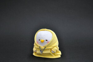 JiwC̏p[J[@sXP [ʂ][JiwCʂ]ysXPz킢/lC/v[g/a/NX}X/[/nEB/nEB[ybsOs×z