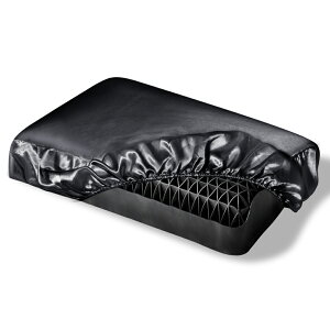 yԌ聚20% OFFzJo[ VN 100 [cL[ VNJo[ 43x63 􂦂 s[P[X Lk Lт    ΍ Ă͗ ~͒g 􂦂  ܂Jo[ p