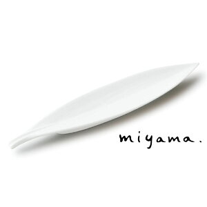 y[Rz {E H̃ANZg fBbv  leaf A~[Y