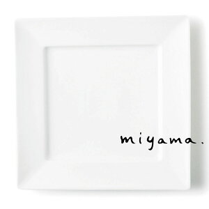 y[Rzv[g M XNGA 24cm t lp 