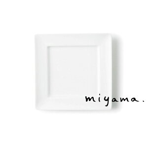 y[Rzv[g M XNGA 15cm t lp 