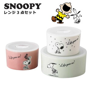 スヌーピー 食器セット おしゃれ プレゼント 2025 レンジ保存容器 3点セット 結婚祝い 誕生日 実用的