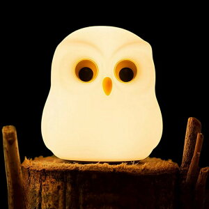 y|Cg10{ziCgCg Cg xbhTChv ԐڏƖ  [Cg QCg Fϊ usb[d ^b` iK R[hX ӂ낤Cg