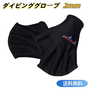 2mm_CrOO[u phO[u@}O[u T[tB j Vm[PO ނ jp O[ulIvn Vс@1yA