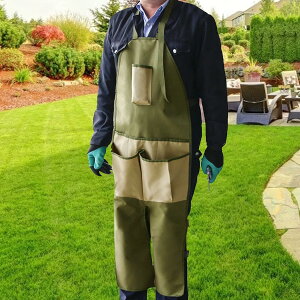 Gv 蓹 pO| T[rXGv h lp Gv  y h ƃGv