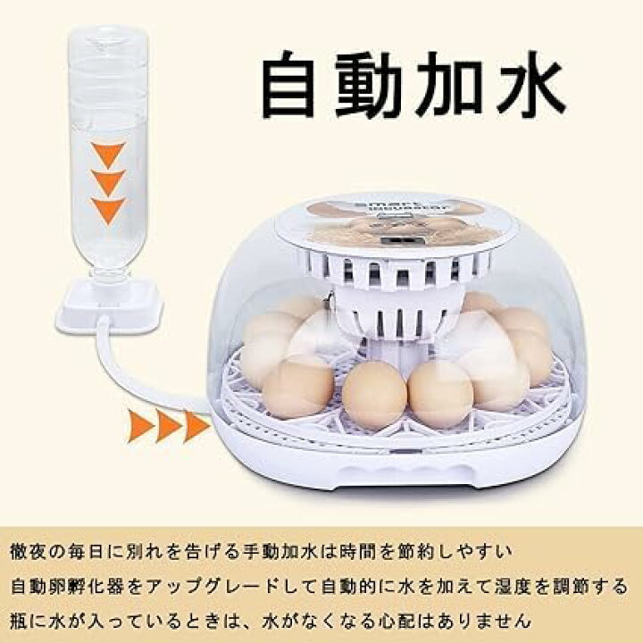 楽天市場】自動孵卵器 インキュベーター 孵化器 12卵 鳥類専用孵卵器 