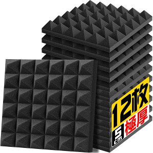 z 30*30*5cm Ɍ E^tH[ z΍  y   h zpl ʃe[vt i12j