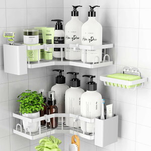 pV[bNy2025O[hAbvőeʂ܂zVv[bN ͔SŒ C bNʏ [bN3i(zCg)