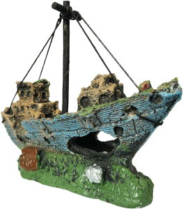 ANAE IuWF D vD p I[ig  B CeA u