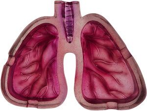 �x�̌` ���� �D�M �N���G�C�e�B�u �l�Ԃ̔x �t���^�o�R�X�^���h�z���_�[ ���r���O���[�� ��� �����i �ƒ�p �։��O�b�Y �i���� �v���[���g �M�t�g