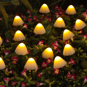 y |Cg10{Iẑ \[[Cg K[fCg \[[ LmR ̂Cg 킢    Ԓd IuWF h C~l[V 邢 ȒPݒu _ 