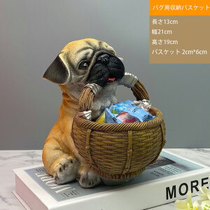  [ oXPbg ~j   킢  u  rO  CeA v ANZT[ [ {bNX z_[