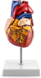 Sf w  ~j S vX`bN U Sf p p inUw ݌v S͌^