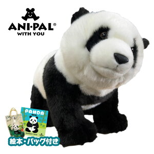 Ajpʂ p_ {݂ A 킢  XPg |[YR  ǂԂ p_ObY p_ʂ G{t 悵 Aj} ʂB 