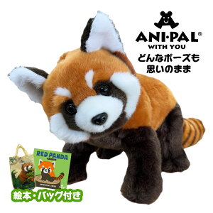 Ajpʂ bT[p_ {݂ A 킢  XPg |[YR  ǂԂ bT[p_ʂ G{t 悵 Aj} ʂ