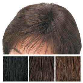 楽天市場 部分かつら つむじの通販