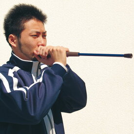 楽天市場 スポーツ 吹き矢 的の通販