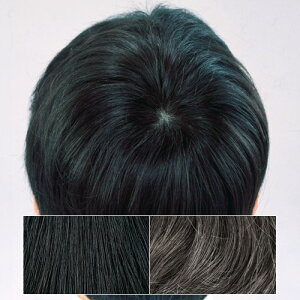 ヘアピース 男性用 その他のメンズファッション雑貨 小物 通販 人気ランキング 価格 Com