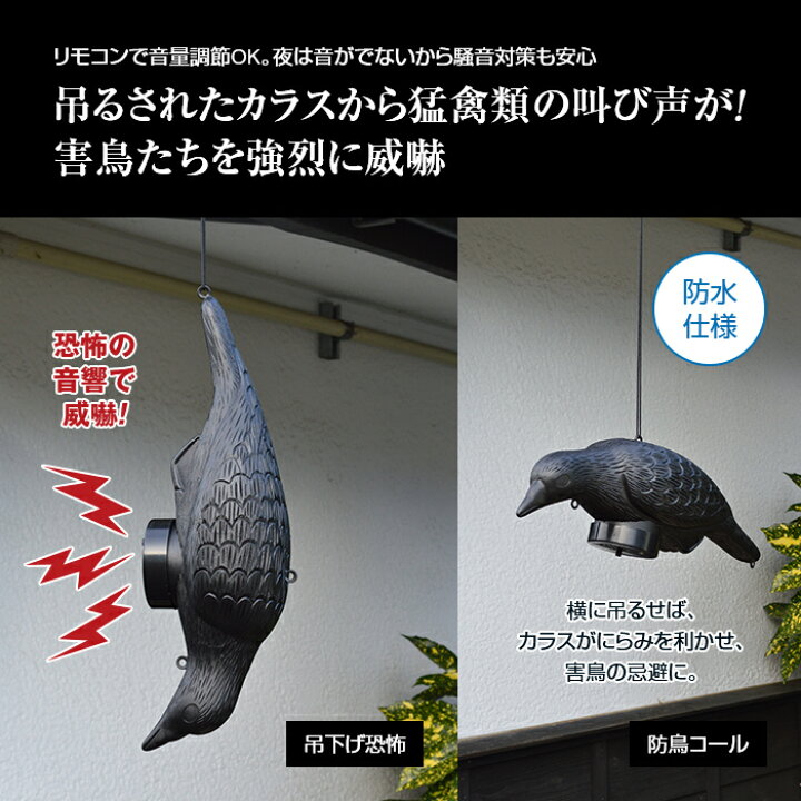 楽天市場 鳥よけ 叫ぶカラス 害鳥 忌避 カラスよけ ゴミ 対策 グッズ 送料無料 害鳥対策 防鳥 カラス除け 鳥の鳴き声 置物 防水 カラス 威嚇 音 鳴き声 銃声 カラス撃退 音量調整 威嚇音 ゴミ置き場 フン害 畑 菜園 悠遊ショップ