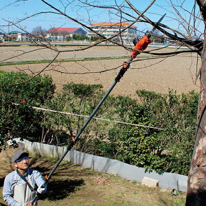 のこぎり 女性 電動の人気商品 通販 価格比較 価格 Com のこぎり 女性 電動の人気商品 通販 価格比較 価格 Com