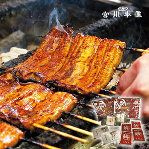 うなぎ お取り寄せの人気商品 通販 価格比較 価格 Com