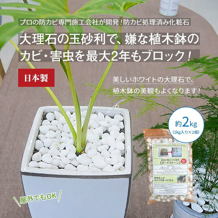 楽天市場 防カビ処理済み化粧石 ガードストーン 2kg 化粧石 白玉砂利 カビ 害虫 対策 予防 観葉植物 天然大理石 玉砂利 カビ 防止 石 砂利 鉢植え 飾り石 おしゃれ 悠遊ショップ