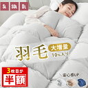 先着20名限定★12%OFF 掛け布団 シングル 羽毛 羽毛布団 に負けない暖かさ シングル 羽毛 布団 羽毛掛け布団 羽布団 かけ布団 羽根布団 羽毛掛布団 ダウンファイバー ダウン 掛け布団 羽毛 掛け布団 冬 掛ふとん 掛布団 羽毛 布団 羽毛入り シングル布団 春 秋 冬用 掛け布団