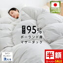 SS半額 羽毛布団 シングル 日本製 掛け布団 シングル 羽毛 羽毛布団 日本製 ポーランド産ダウン95％ 羽毛布団 冬用 羽毛布団 羽毛ふとん 羽布団 シングル 羽毛掛け布団 シングル 羽毛掛布団 シングル 羽布団 羽毛 布団 ダウン シングル 羽毛布団シングル