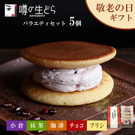 【送料無料】スイーツ ギフト 敬老の日 2026 噂の生どら 5個入 送料無料 どら焼き 詰め合わせ 和菓子 お菓子 高級 有名 贈答用 和洋菓子 お返し 個包装 冷凍 誕生日 お取り寄せ 喜ばれる 松葉屋 奥出雲 プレゼント 残暑見舞い 暑中見舞い