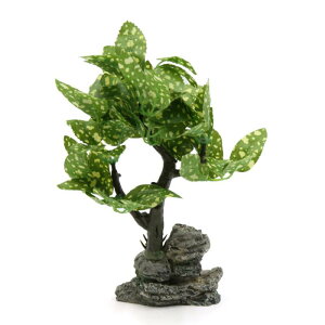 uxcell ق̐A   vX`bN O[ ~hTCY ق̕ȉ