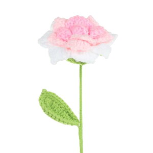 PATIKIL NVFt[  ҂݃[YlHDtFCNt[ o^CMtg z[EFfBOp[eB[ItBXe[ufR[V zCgsN