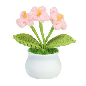 PATIKIL NVFt[ ҂3  YȑlH҂ݏȔA o^CMtg z[EFfBOp[eB[ItBXe[ufR[V sN