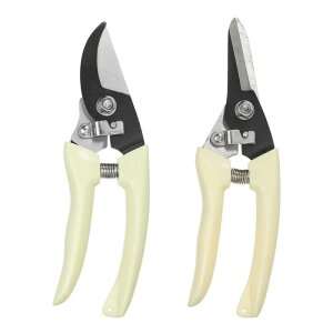 PATIKIL ΂݃Zbg XeXK[fvg܂ș΂݁Ȃ΂ Ԑ؂p ΂ 뉀  