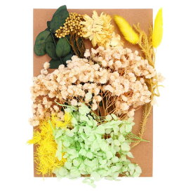 PATIKIL ナチュラルドライフラワー 複数のカラフル 本物のドライ押し花植物 クラフト樹脂 ソープ キャンドル スクラップブッキング用 イエローシリーズ