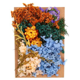 PATIKIL ナチュラルドライフラワー 複数のカラフル 本物のドライ押し花植物 クラフト樹脂 ソープ キャンドル スクラップブッキング用 アソートカラー