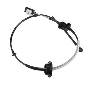 X AUTOHAUX FordɑΉGNXyfBVуJ[ɑΉɑΉirQ[^[p̎ϑ@MAVtgP[u 2000-2002NΉ