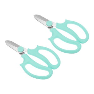 PATIKIL K[f͂ A؂΂ ԃoT~ 2{ Sn悢nht Ap u[