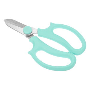 PATIKIL t[VU[ |͂  | nT~RtH[gObvnht Ãg~Op u[