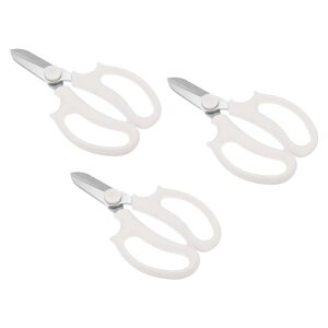 PATIKIL K[f͂ A؂΂ ԃoT~ 3{ Sn悢nht Ap zCg