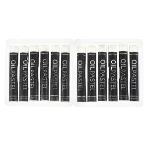 PATIKIL N[~[ȃICpXe 12 \tgICN pXeXeBbN A[gyCeBO ` ufBOp A[eBXg Sҗp zCg