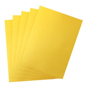 PATIKIL 12" x 8.5" ^bN~[{[hV[g 50pbN J[hXgbNzC{[h˃V[g 250gsm XNbvubN|X^[ DIYNtg҃J[hp