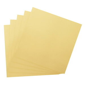 PATIKIL 12" x 12" ^bN~[{[hV[g 10pbN _[NJ[hXgbNzC{[h˃V[g 250gsm XNbvubN|X^[ DIYNtg҃J[hp