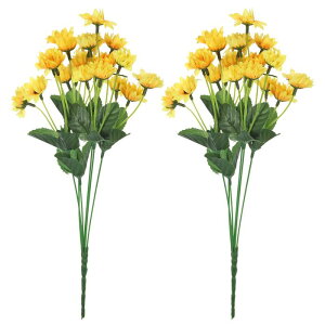 PATIKIL 22 lHVNЂ܂ st 2  tFCNu[P  z[ItBX̑p CgIW