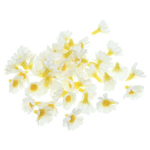 PATIKIL 0.98" lHЂ܂   50 VNЂ܂ tFCNt[   ԑ  DIYNtg zCg