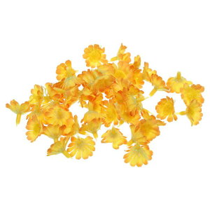 PATIKIL 0.98" lHЂ܂   50 VNЂ܂ tFCNt[  EFfBOt[u[P  DIYNtg IWCG[